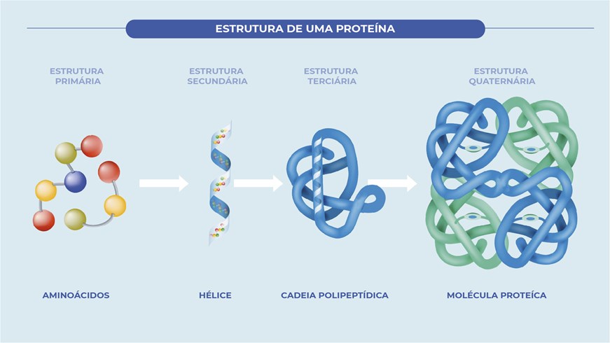 Estrutura de uma proteína